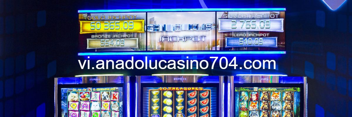 vi.anadolucasino704.com